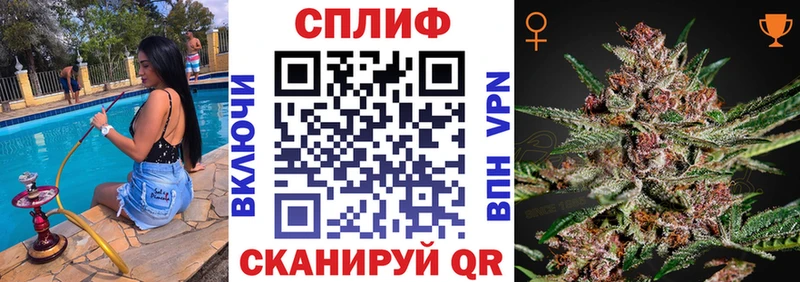 Где найти наркотики Елизаветинская Героин Амфетамин Меф мяу мяу A PVP