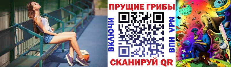 Псилоцибиновые грибы Cubensis  Елизаветинская 